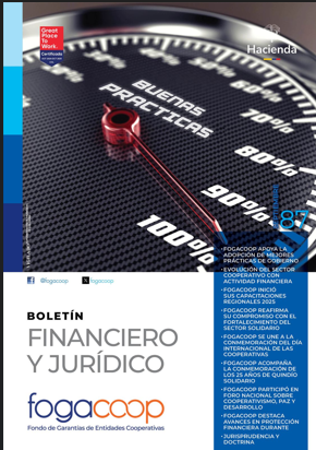 BOLETÍN 87